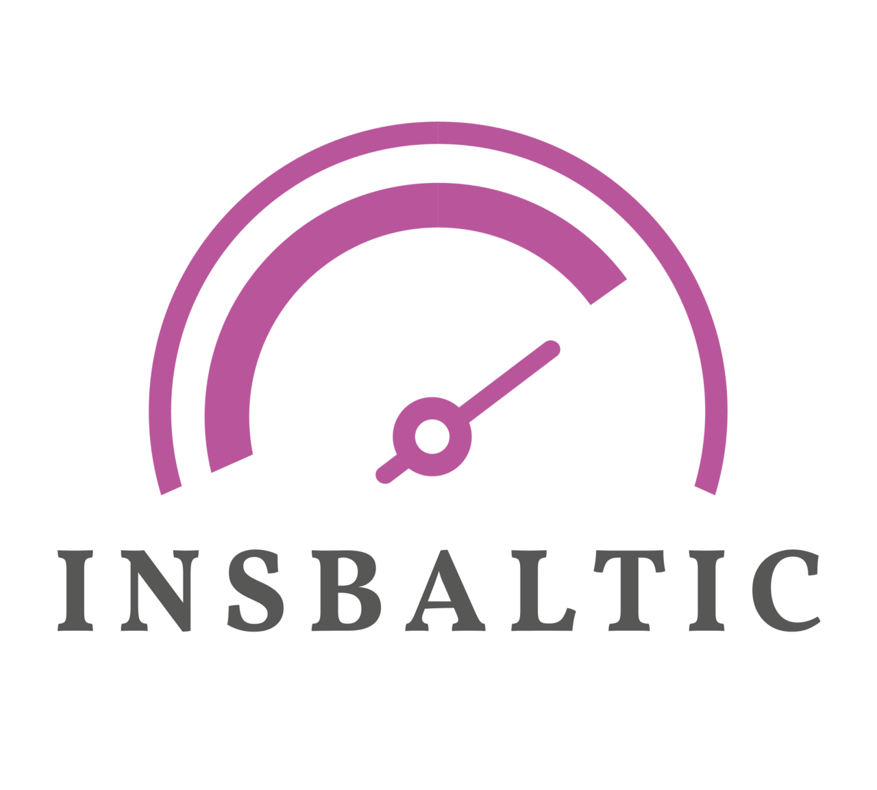 InsBaltic – About Us